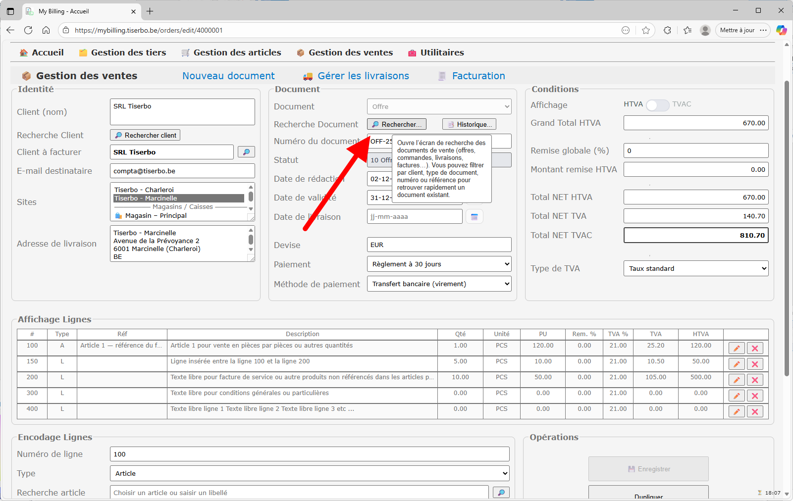 Affichage du PDF de l'offre dans le navigateur